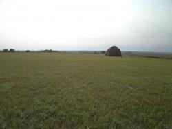 post-7121-0-23550500-1343530744_thumb.jp