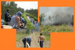 post-8942-0-06301100-1343574360_thumb.jp