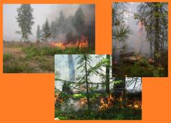 post-8942-0-06570300-1343573847_thumb.jp