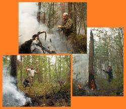 post-8942-0-19051500-1343574619_thumb.jp