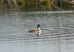 post-8942-0-27706100-1341511187_thumb.jp