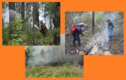 post-8942-0-35661600-1343574464_thumb.jp