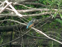 post-8942-0-39881400-1341511081_thumb.jp