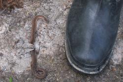 post-8942-0-40299900-1341511029_thumb.jp