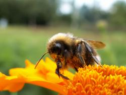 post-8942-0-41352600-1341510893_thumb.jp