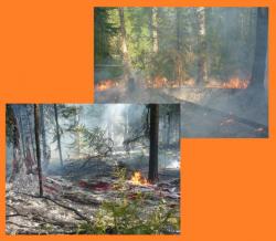 post-8942-0-50944200-1343573576_thumb.jp