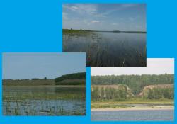 post-8942-0-70455900-1342715535_thumb.jp