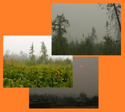 post-8942-0-79935300-1343574929_thumb.jp