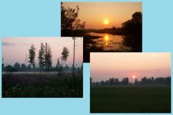 post-8942-0-90009900-1342715743_thumb.jp