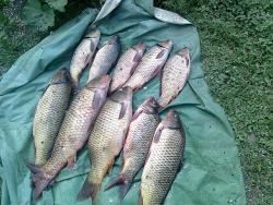 post-9148-0-10036300-1341310485_thumb.jp