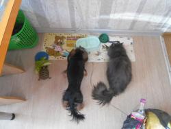 post-9966-0-25543500-1342013190_thumb.jp