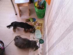 post-9966-0-43237000-1342013183_thumb.jp