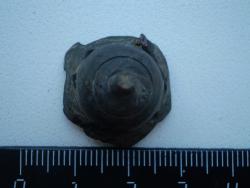 post-10542-0-12684400-1373556093_thumb.j