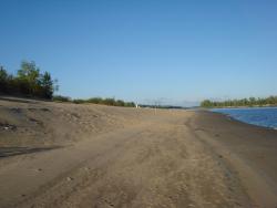 post-12373-0-69706700-1375099254_thumb.j