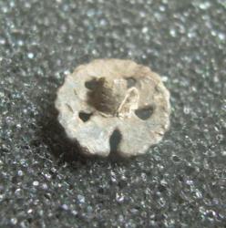 post-12381-0-07213300-1373973950_thumb.j