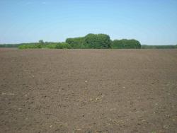 post-12551-0-63690200-1373809390_thumb.j