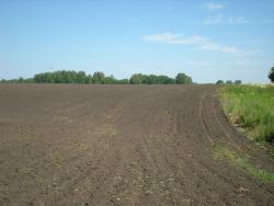 post-12551-0-98863700-1373809271_thumb.j