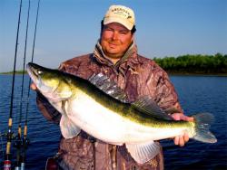 post-13075-0-32016000-1372779459_thumb.j