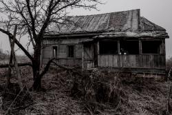 post-13076-0-20592300-1373391369_thumb.j