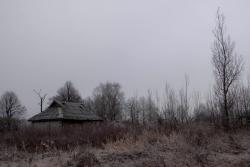 post-13076-0-32547700-1372753931_thumb.j