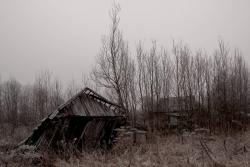 post-13076-0-38017500-1372753900_thumb.j