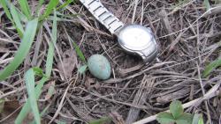 post-16248-0-00896600-1373303951_thumb.j