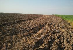 post-16811-0-19953800-1373273889_thumb.j