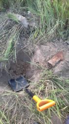 post-20232-0-10023700-1373577255_thumb.j