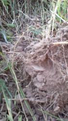 post-20232-0-36947400-1373577255_thumb.j