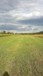 post-20232-0-73841800-1374258017_thumb.j