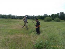 post-24709-0-53342500-1374042400_thumb.j