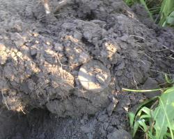 post-26581-0-16002600-1373641692_thumb.j