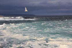 post-26681-0-05475000-1374995600_thumb.j