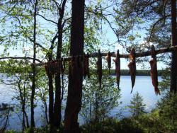 post-26681-0-16299000-1373788058_thumb.j