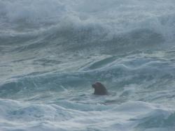 post-26681-0-49030400-1374995497_thumb.j