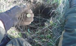 post-26894-0-03386200-1373346576_thumb.j