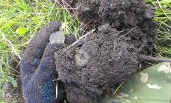 post-26894-0-28322400-1373197513_thumb.j