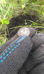 post-26894-0-33842100-1375190803_thumb.j