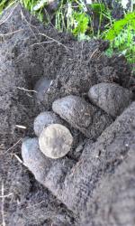 post-26894-0-69773500-1374855820_thumb.j