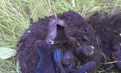 post-26894-0-73026400-1375191356_thumb.j