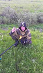 post-26894-0-78461200-1372666411_thumb.j