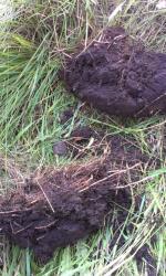 post-26894-0-85656600-1374854872_thumb.j