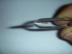 post-27393-0-49283800-1375121993_thumb.j