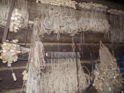 post-27646-0-19724100-1373479060_thumb.j