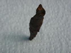 post-28107-0-13909100-1374388786_thumb.j