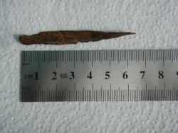 post-28107-0-92494600-1374388283_thumb.j