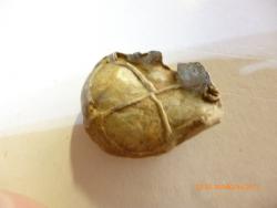 post-28161-0-11417300-1375214820_thumb.j