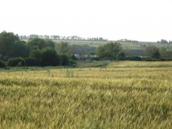 post-3072-0-11412800-1374247175_thumb.jp