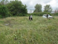 post-3072-0-19560400-1374251023_thumb.jp