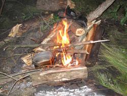 post-3072-0-23942100-1374247758_thumb.jp